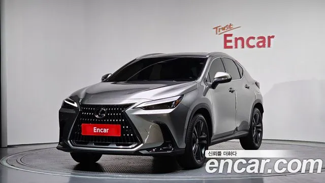Lexus NX 2025 — photo 1