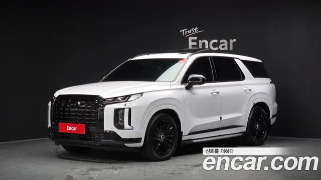 Hyundai Palisade 2024 — photo 1
