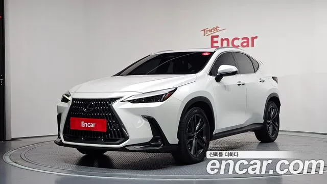 Lexus NX 2023 — photo 1