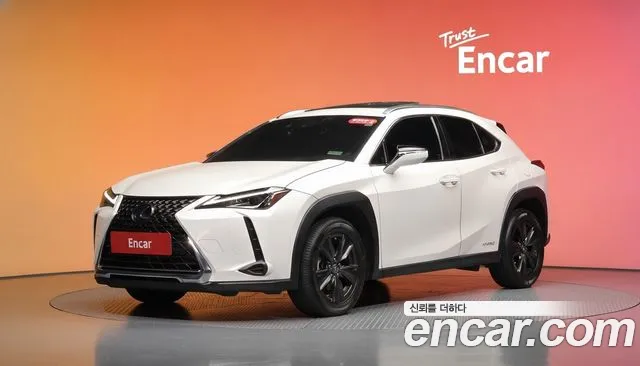 Lexus UX 2020 — photo 1
