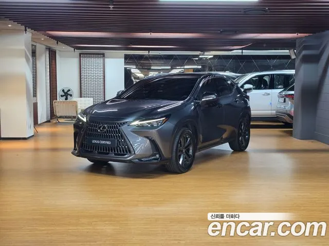 Lexus NX 2023 — photo 1