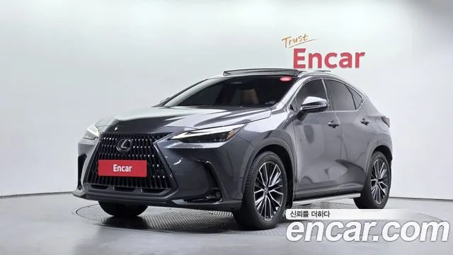 Lexus NX 2024 — photo 1