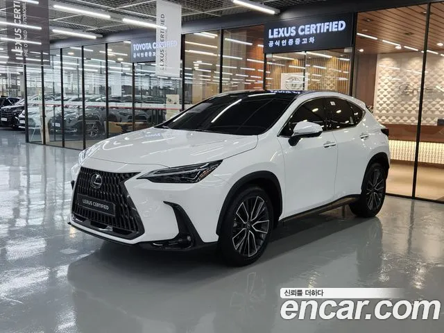 Lexus NX 2026 — photo 1