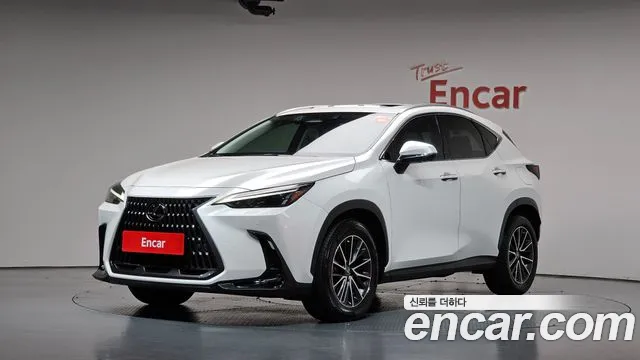 Lexus NX 2022 — photo 1