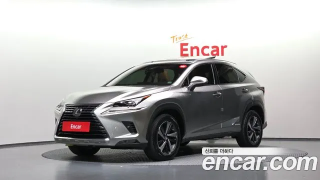 Lexus NX 2019 — photo 1