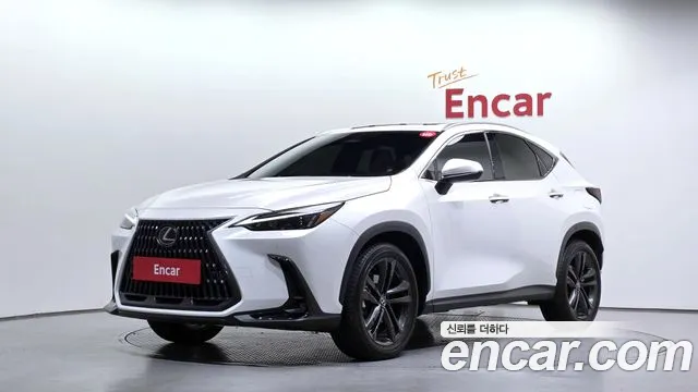 Lexus NX 2025 — photo 1