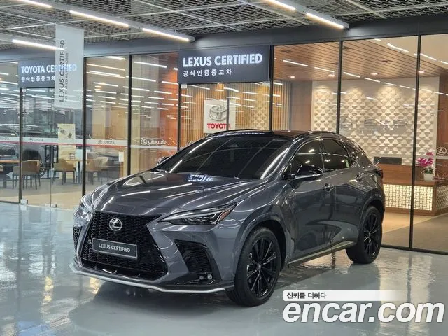 Lexus NX 2025 — photo 1
