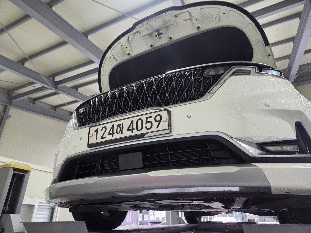 Kia Canival 2021 — inspection photo 1