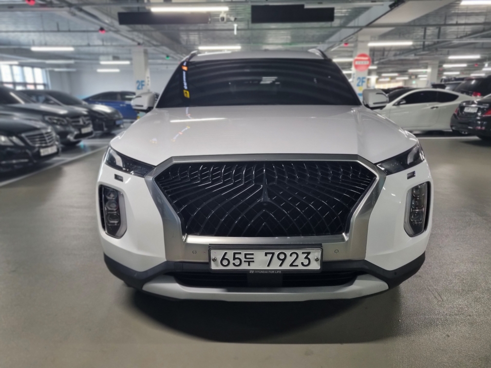 Hyundai Palisade 2019 — inspection photo 1