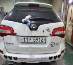 Renault Korea QM5  2015 — inspection photo 2