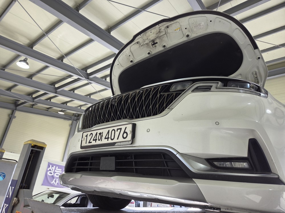 Kia Canival 2021 — inspection photo 1