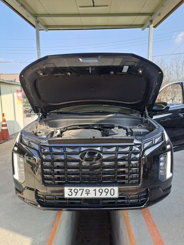 Hyundai Palisade 2024 — inspection photo 1