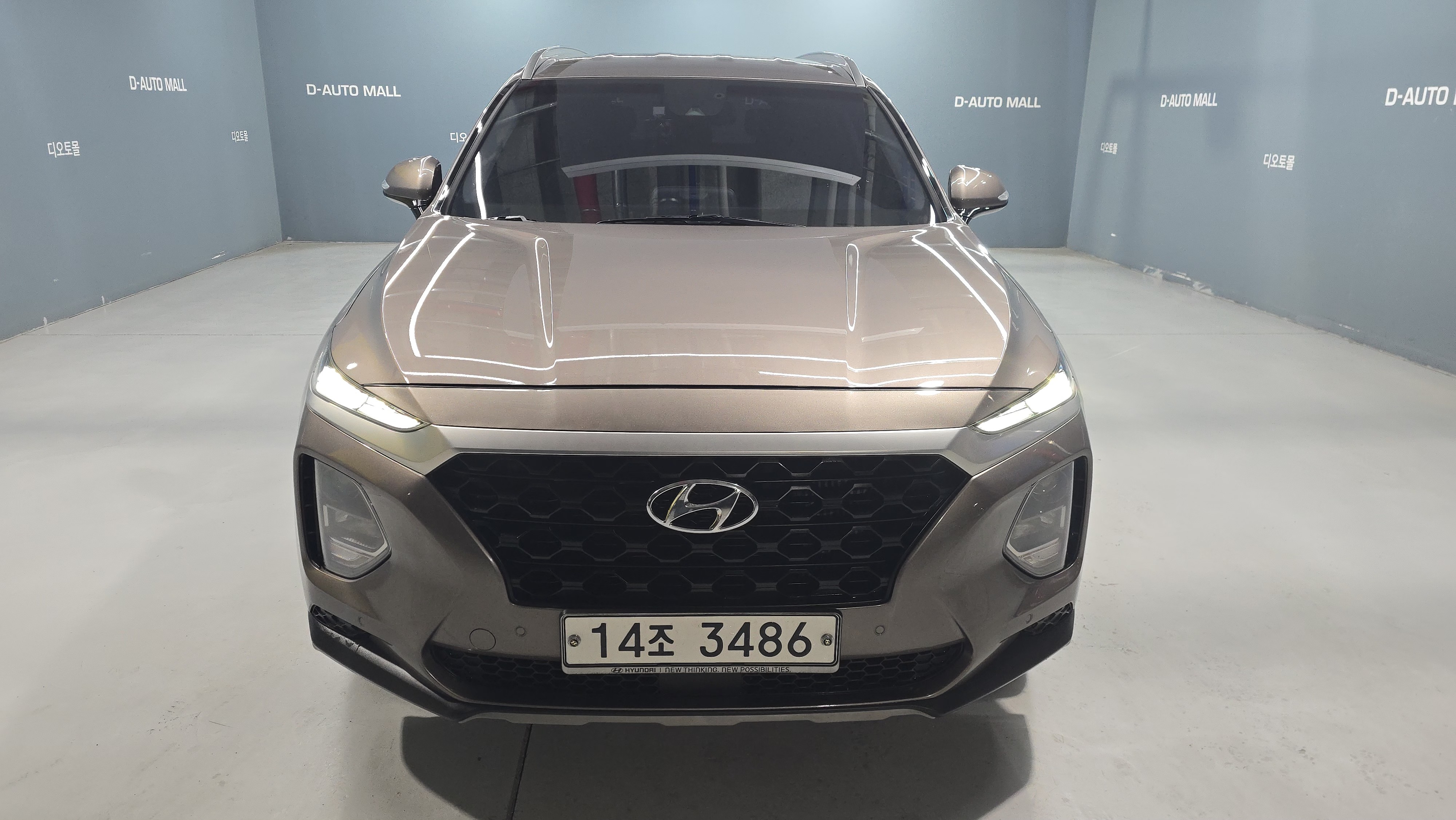 Hyundai Santafe 2019 — inspection photo 1