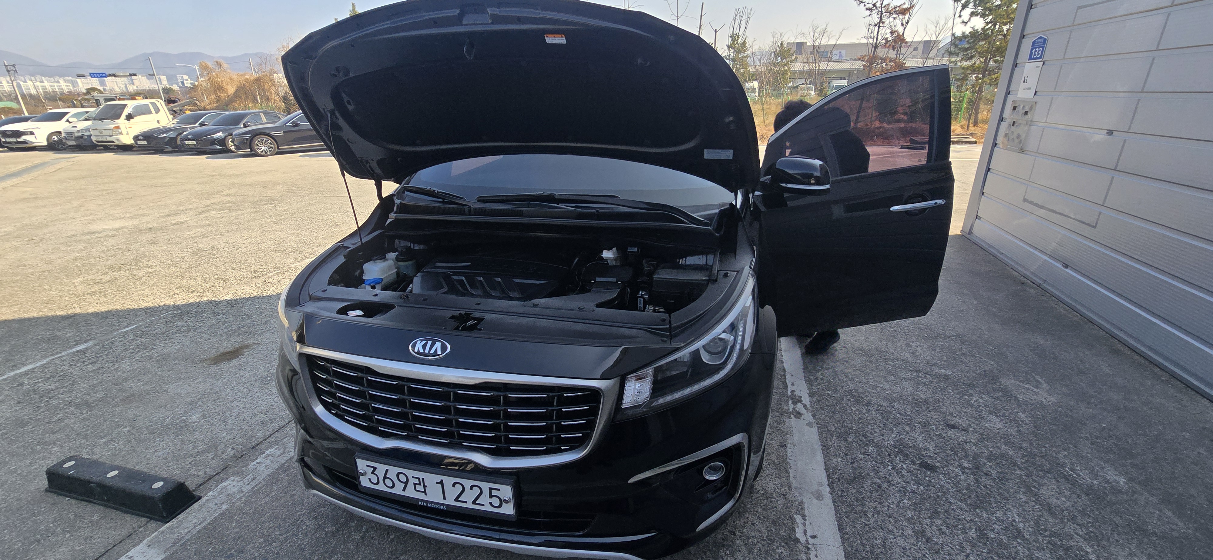 Kia Canival 2020 — inspection photo 1