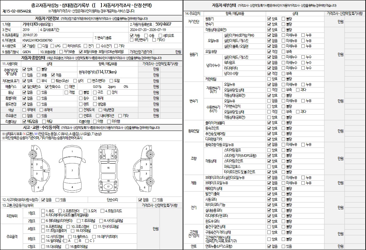 Kia K9 2019 — inspection photo 1