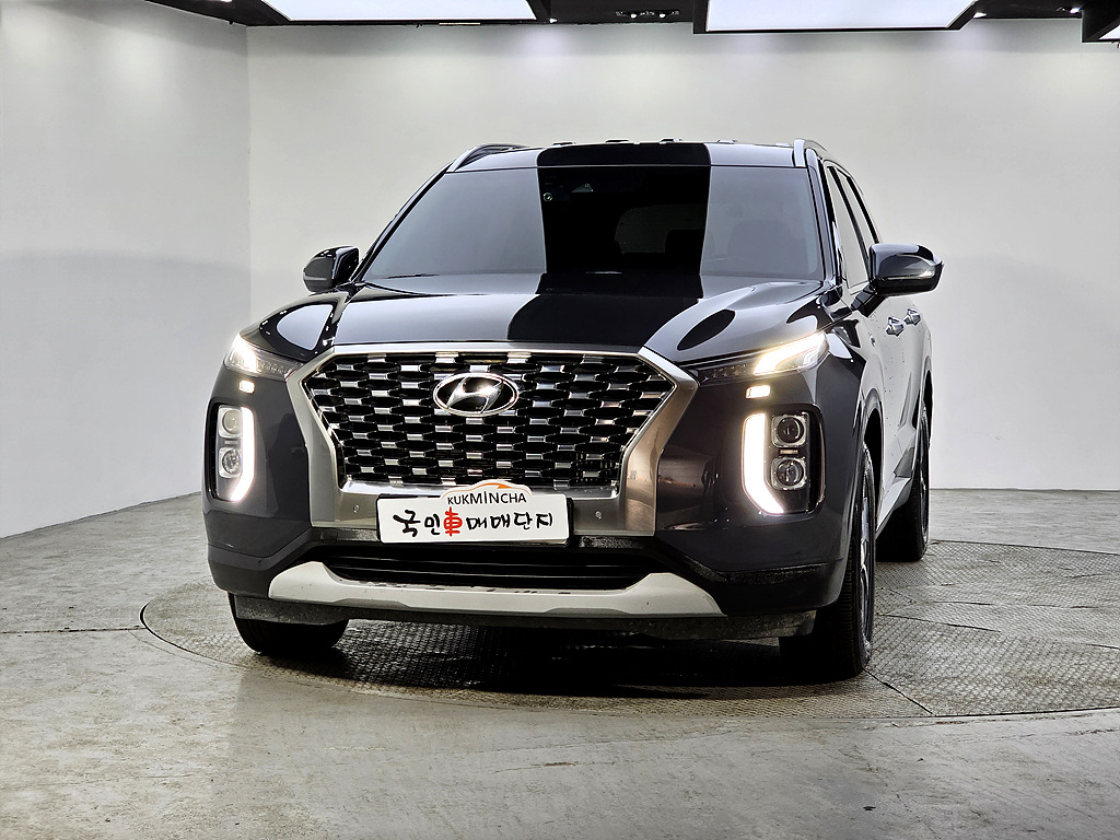 Hyundai Palisade 2019 — inspection photo 1