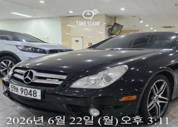 Mercedes-Benz CLS-Class 2010 — inspection photo 1
