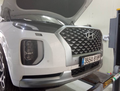 Hyundai Palisade 2021 — inspection photo 1