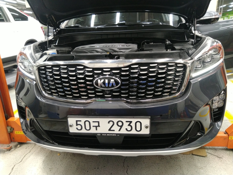 Kia Sorento 2019 — inspection photo 1