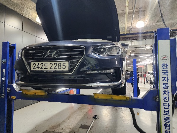 Hyundai Grandeur 2019 — inspection photo 1
