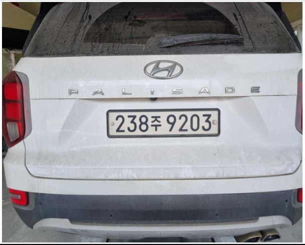 Hyundai Palisade 2019 — inspection photo 2