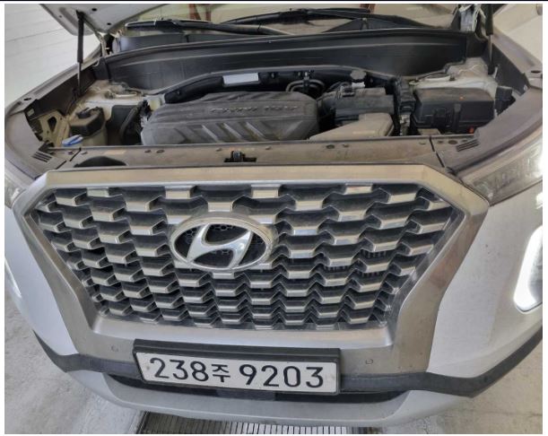 Hyundai Palisade 2019 — inspection photo 1
