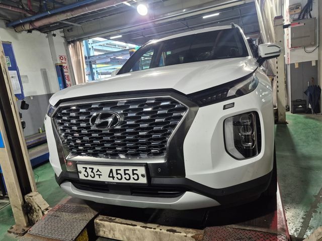 Hyundai Palisade 2019 — inspection photo 1