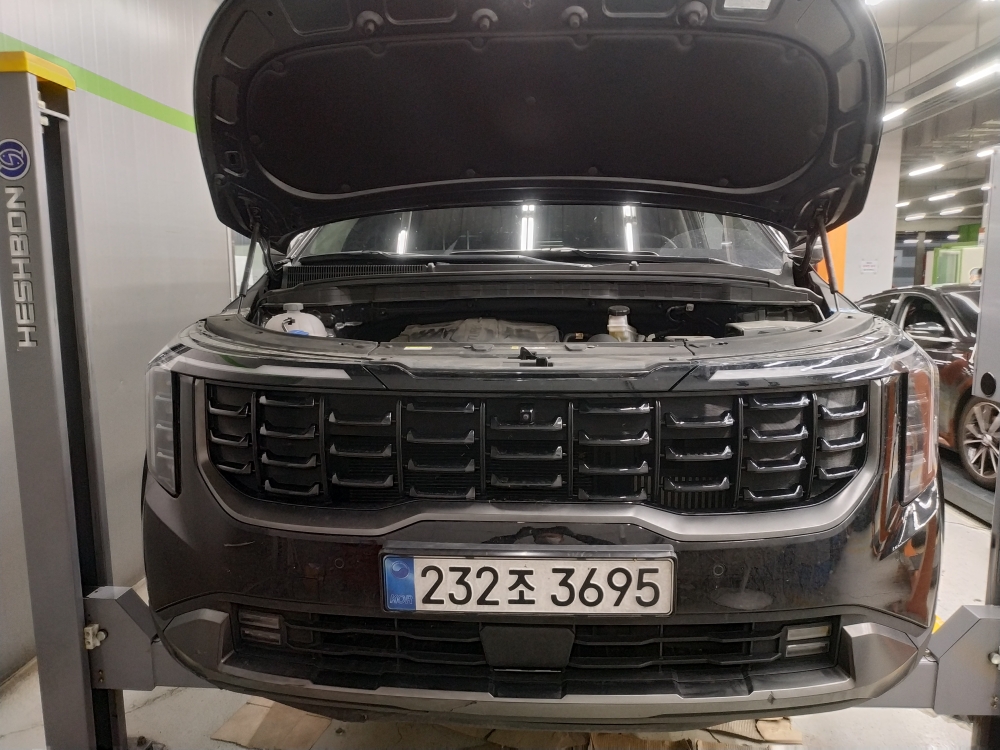 Kia Canival 2025 — inspection photo 1