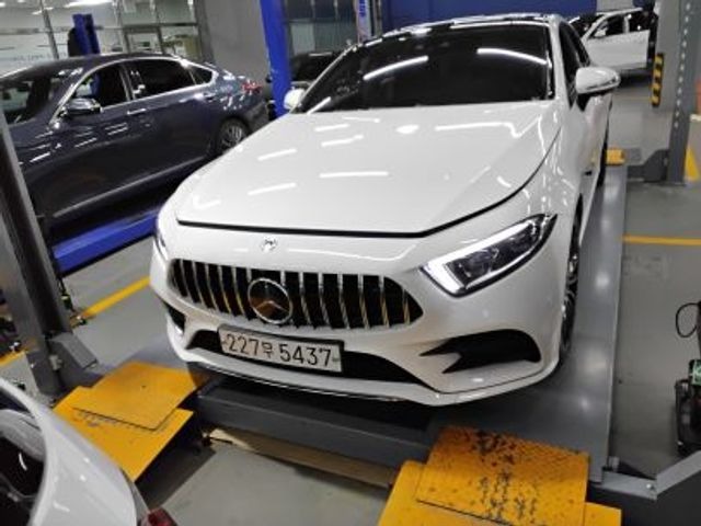 Mercedes-Benz CLS-Class 2019 — inspection photo 1