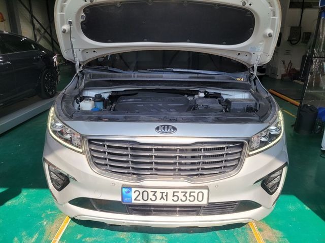 Kia Canival 2019 — inspection photo 1