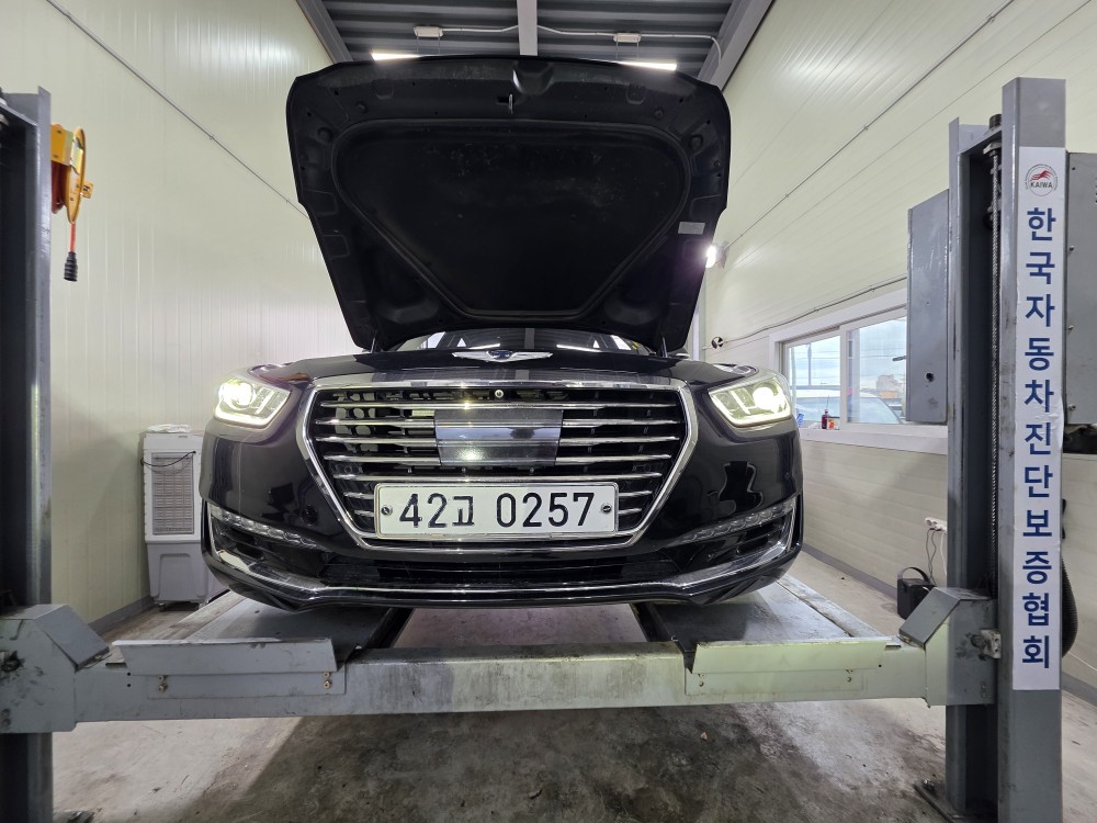 Genesis EQ900 2016 — inspection photo 1