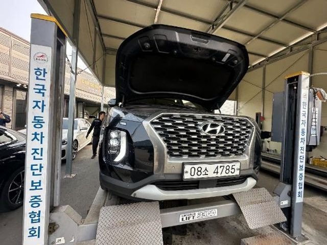 Hyundai Palisade 2019 — inspection photo 1