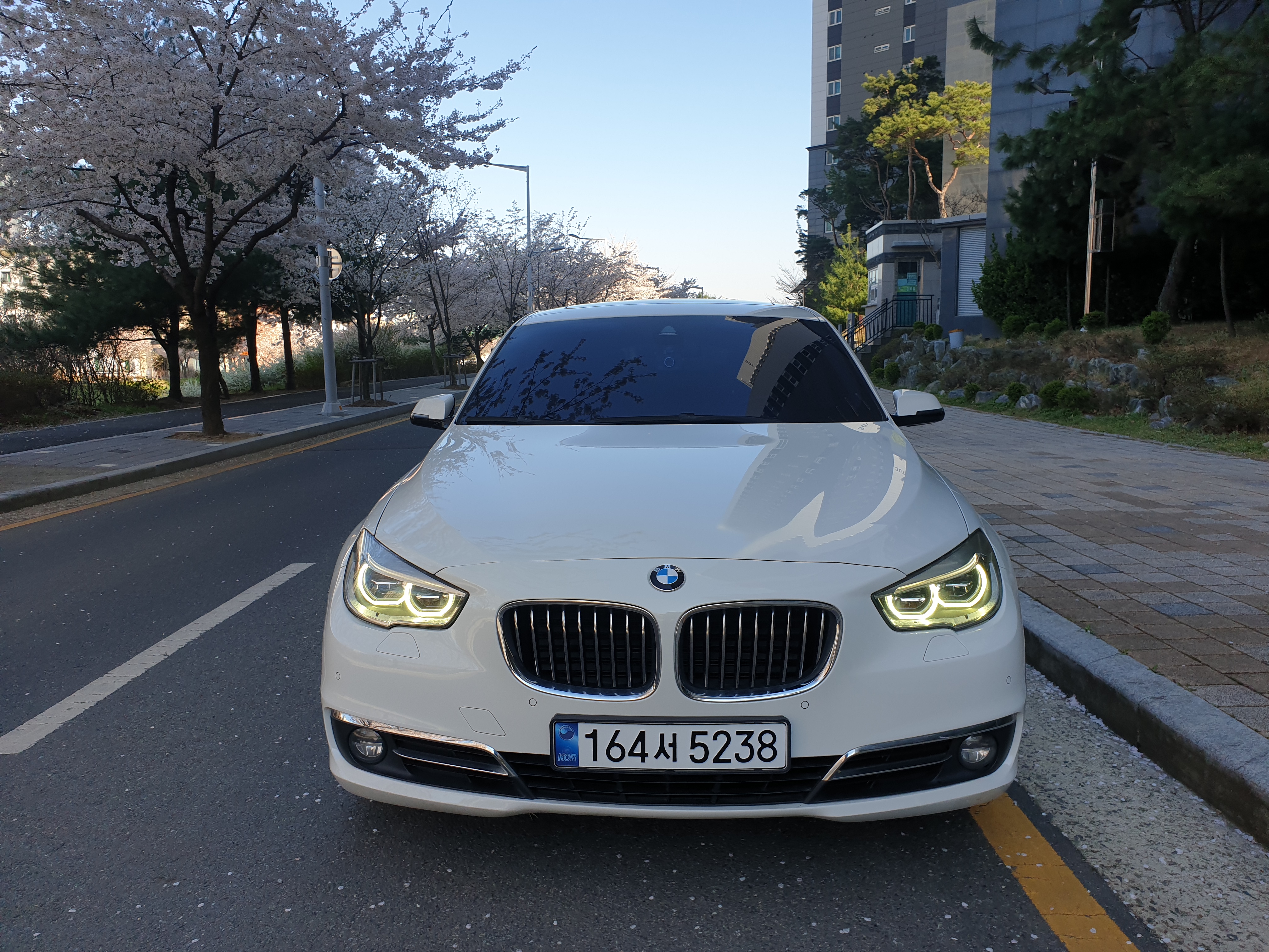 BMW Gran Turismo 2014 — inspection photo 1