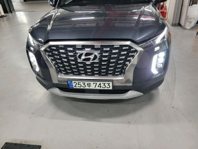 Hyundai Palisade 2019 — inspection photo 1