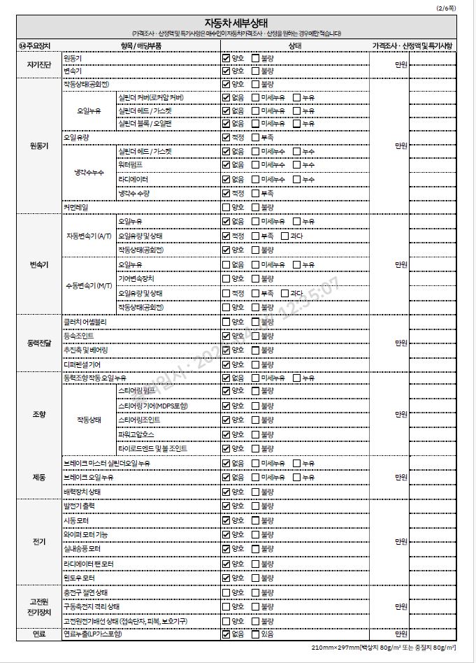 Renault Korea SM6 2019 — inspection photo 2
