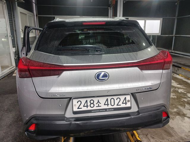 Lexus UX 2020 — inspection photo 2
