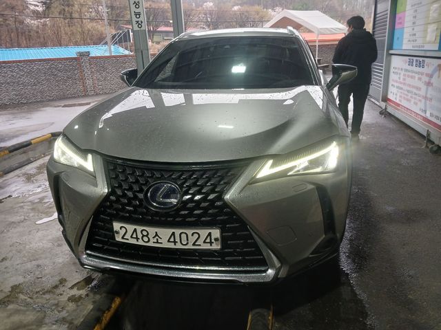 Lexus UX 2020 — inspection photo 1