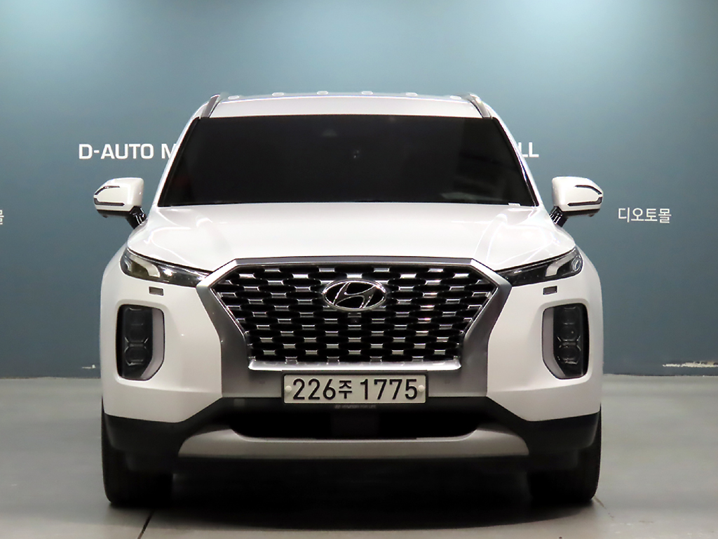 Hyundai Palisade 2020 — inspection photo 1