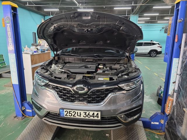 Renault Korea QM6 2021 — inspection photo 1