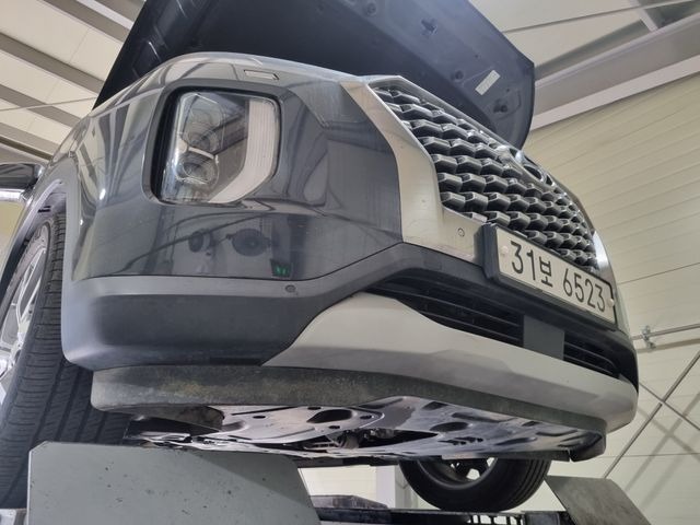 Hyundai Palisade 2019 — inspection photo 1