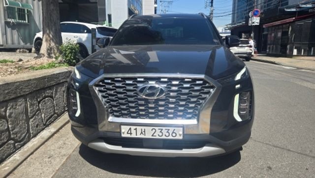 Hyundai Palisade 2019 — inspection photo 1