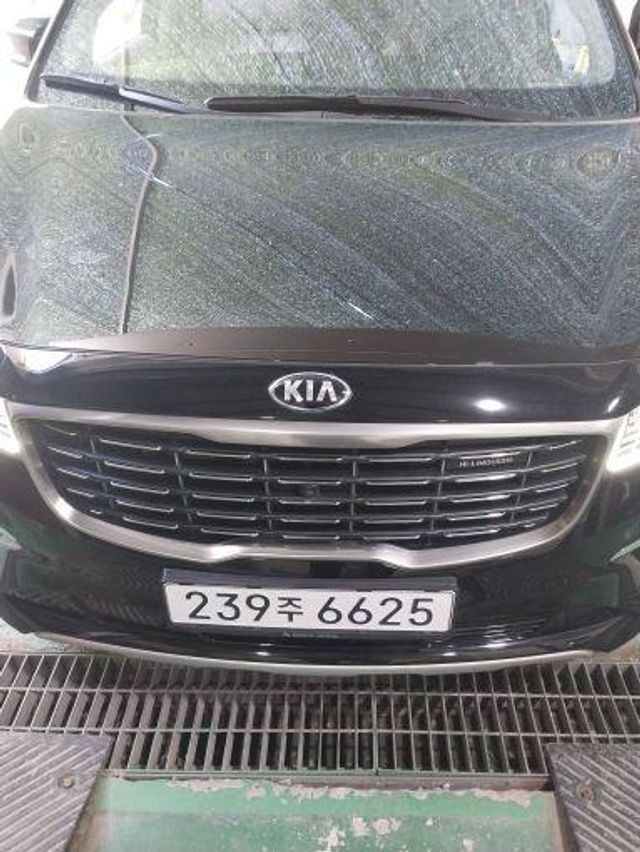 Kia Canival 2020 — inspection photo 1