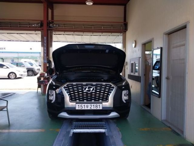 Hyundai Palisade 2020 — inspection photo 1