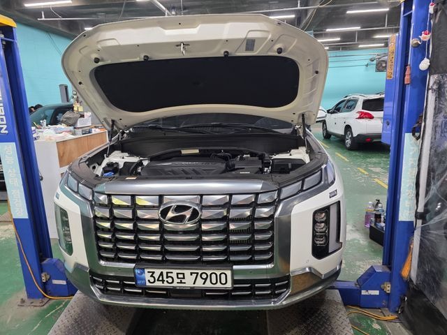 Hyundai Palisade 2024 — inspection photo 1