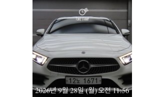 Mercedes-Benz CLS-Class 2019 — inspection photo 1