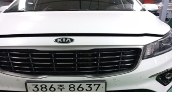 Kia Canival 2019 — inspection photo 1