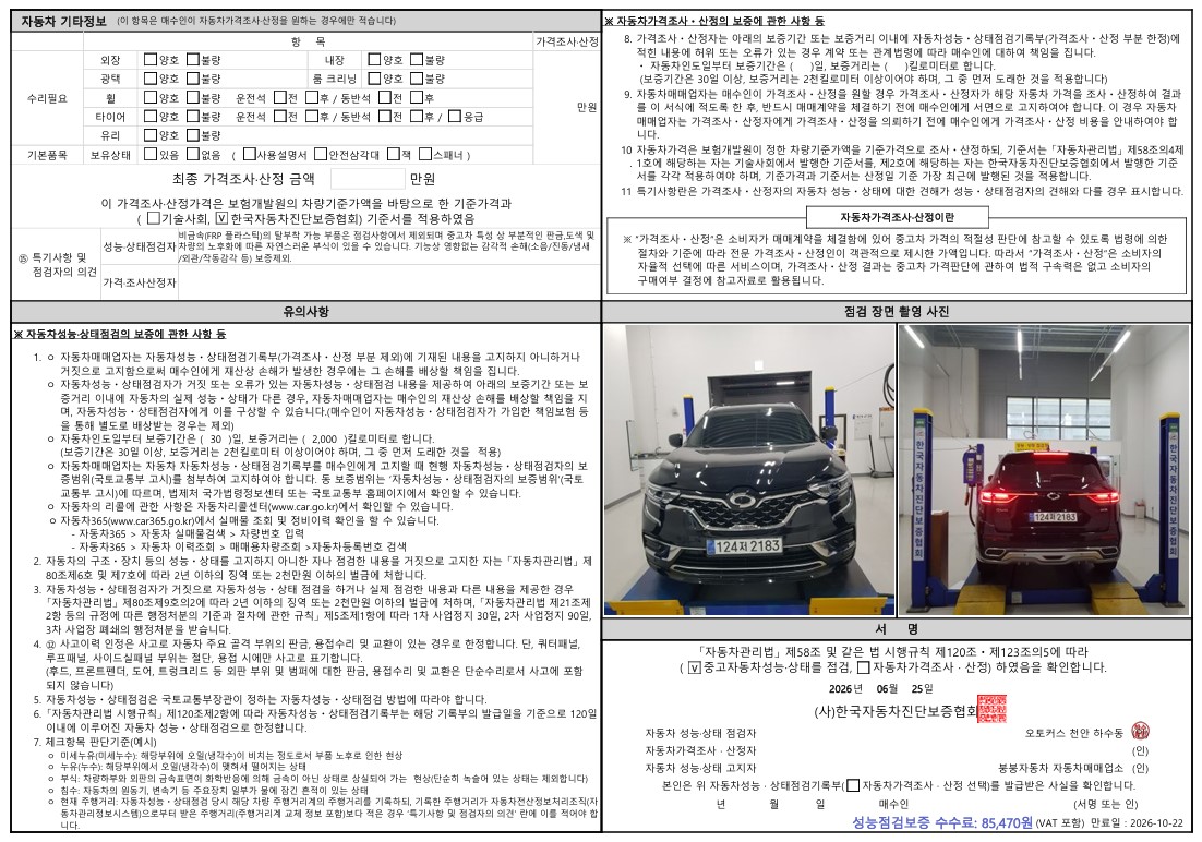 Renault Korea QM6 2021 — inspection photo 2