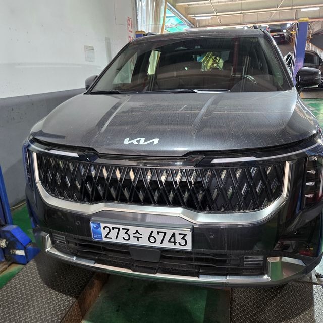 Kia Canival 2025 — inspection photo 1