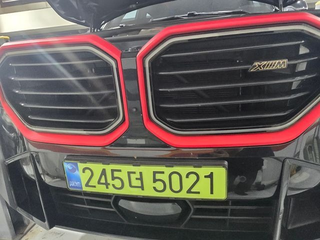 BMW XM 2025 — inspection photo 1