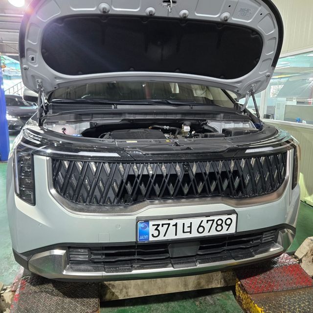 Kia Canival 2026 — inspection photo 1